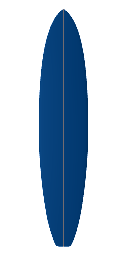 Shaw Surfboards fun board